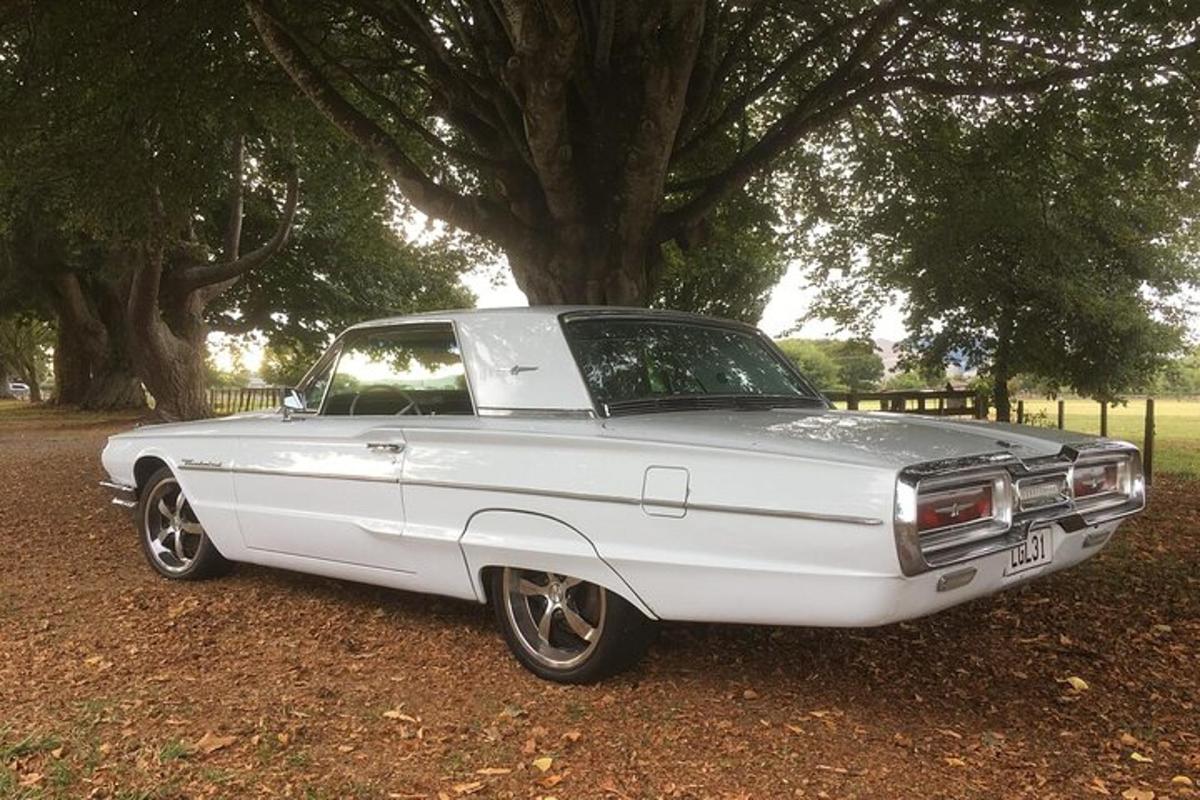 a white car parked in front of a tree
