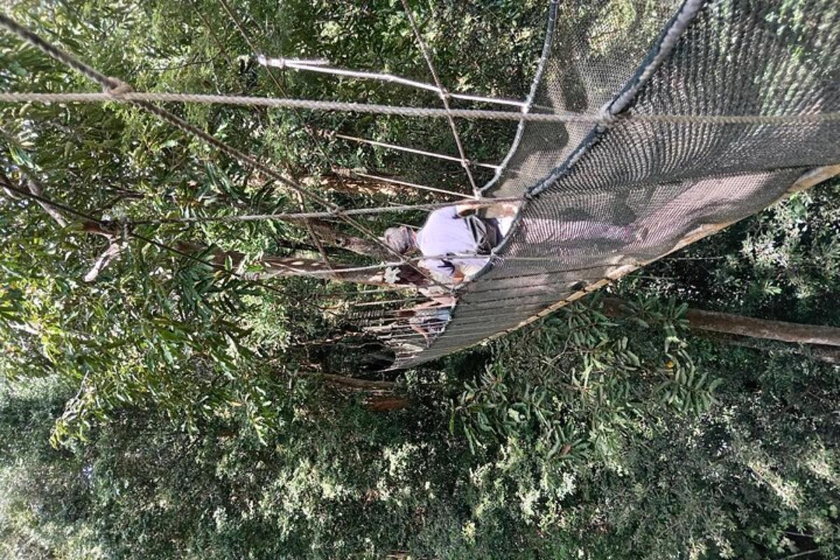 pohled shora na osobu ležící na stromě