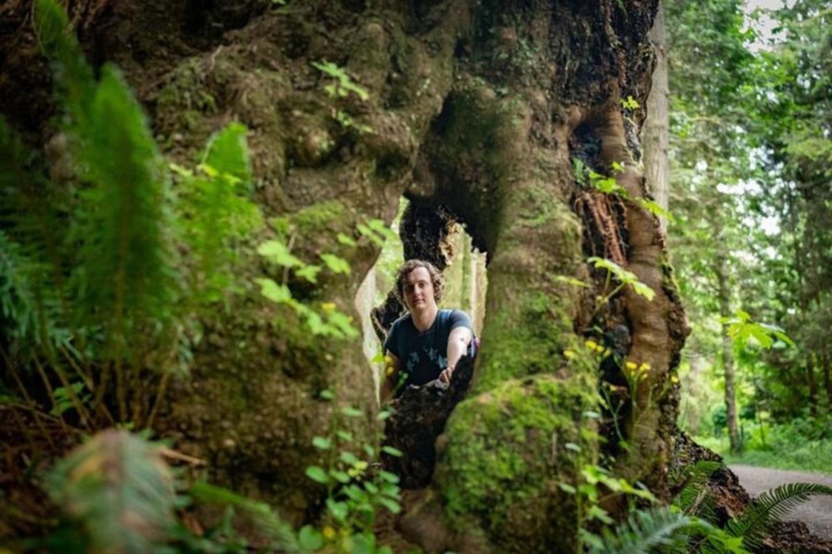 Una mujer parada junto a un árbol en un bosque.