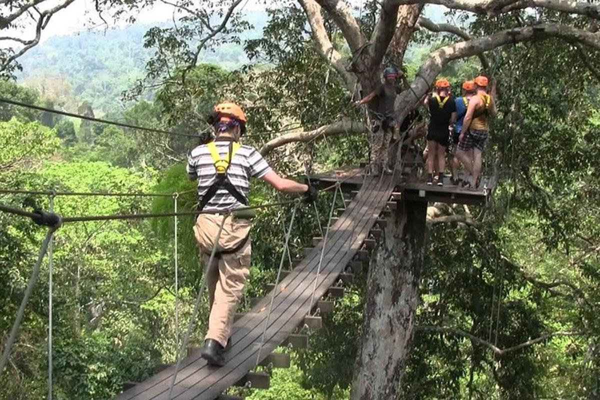Un grupo de personas en un puente colgante en el bosque.