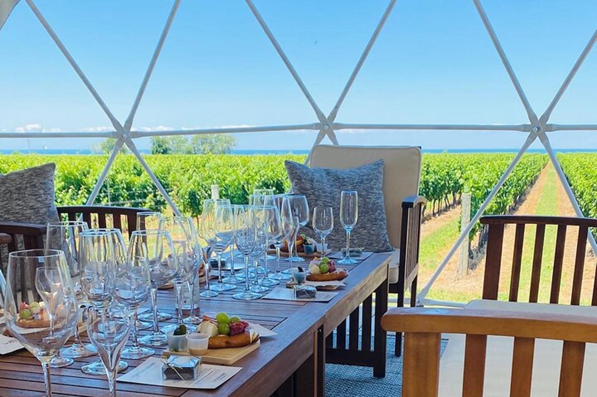 a long table with wine glasses and a view of a vineyard