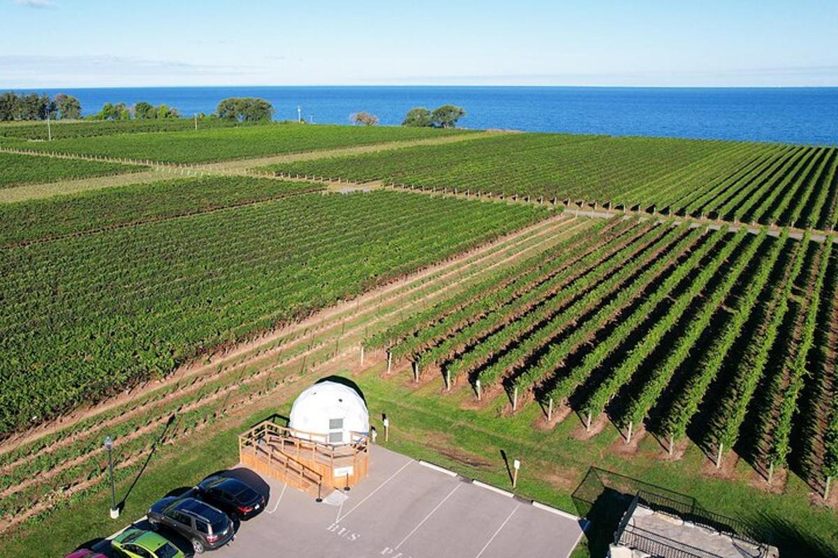 an aerial view of a vineyard with a farm house and cars