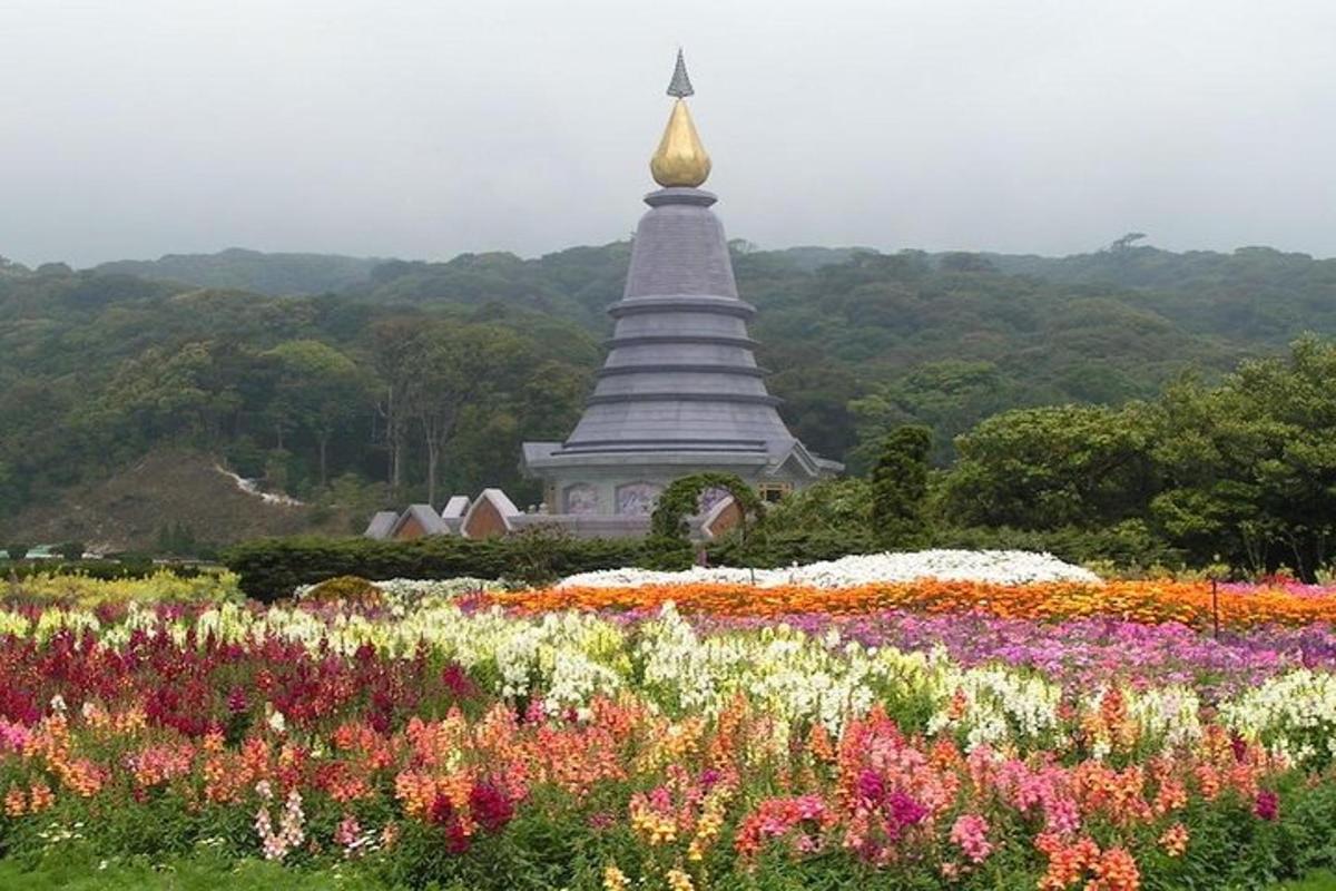 một cánh đồng hoa trước một ngôi chùa
