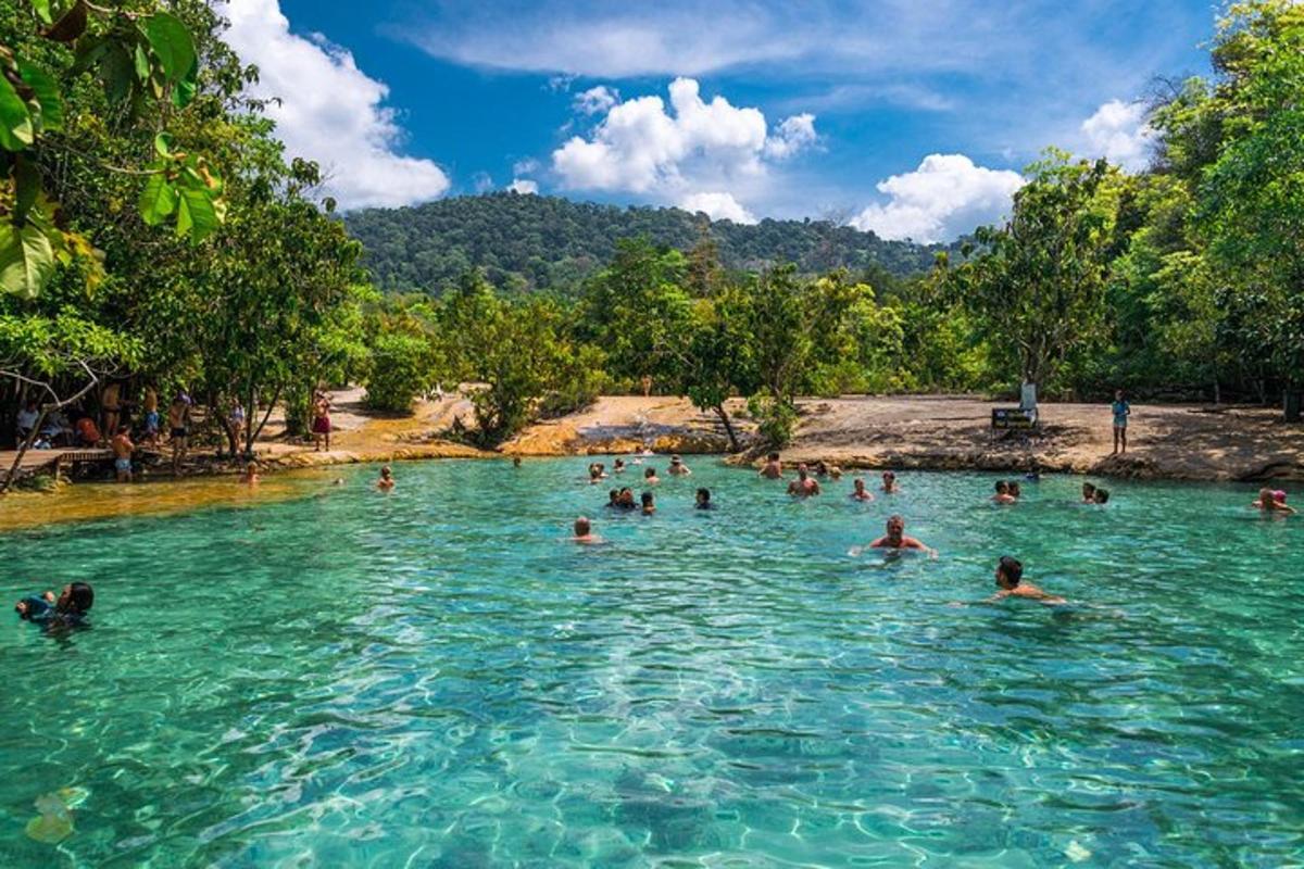 sekumpulan orang berenang di dalam kolam air