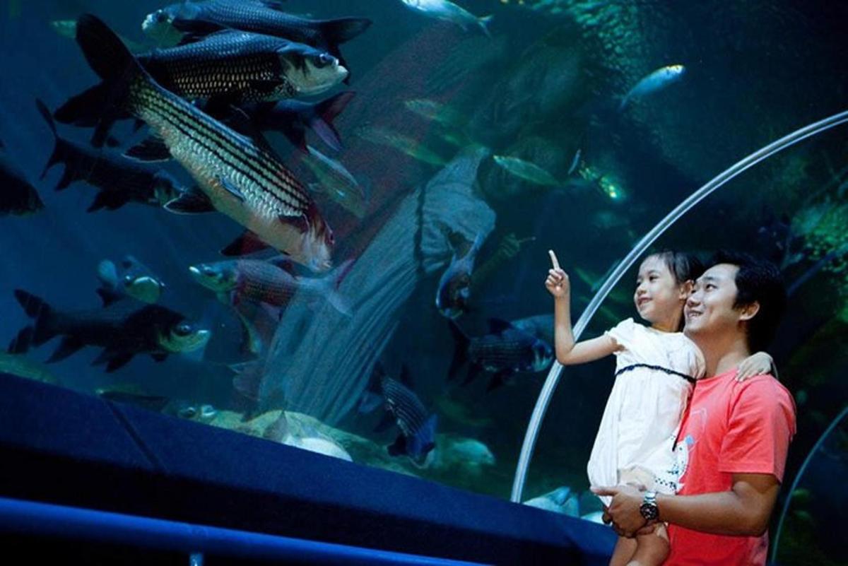 a woman and a man standing in front of an aquarium