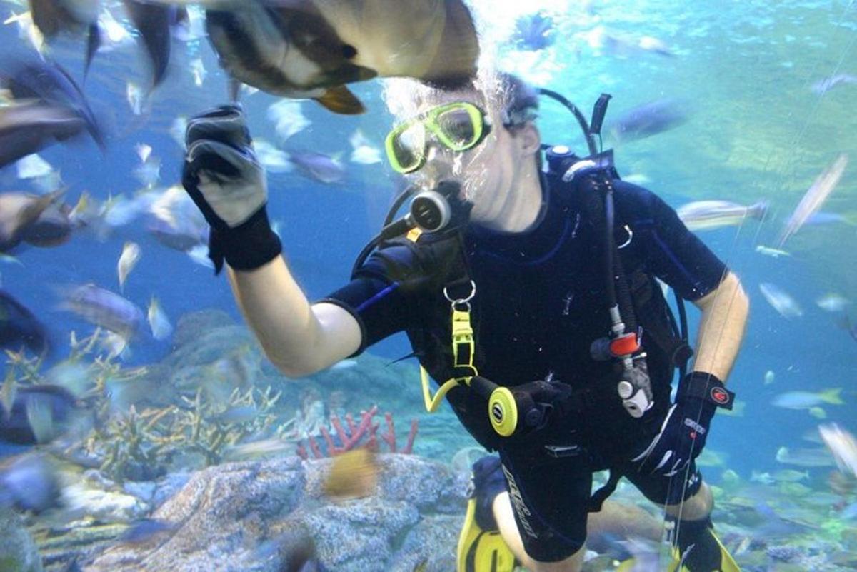 ภาพถ่ายสิ่งที่น่าสนใจภาพที่ 7