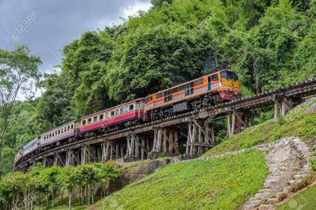 un treno su un ponte sopra una collina