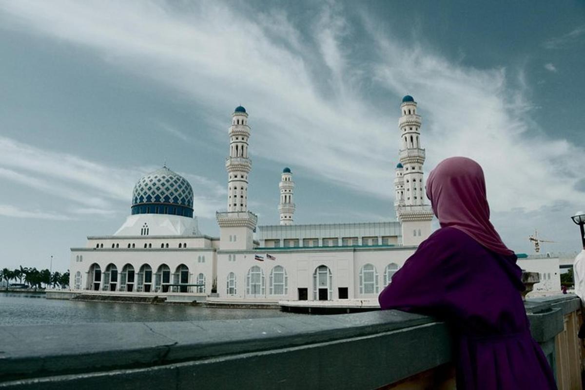 una donna in piedi su una recinzione che guarda una moschea