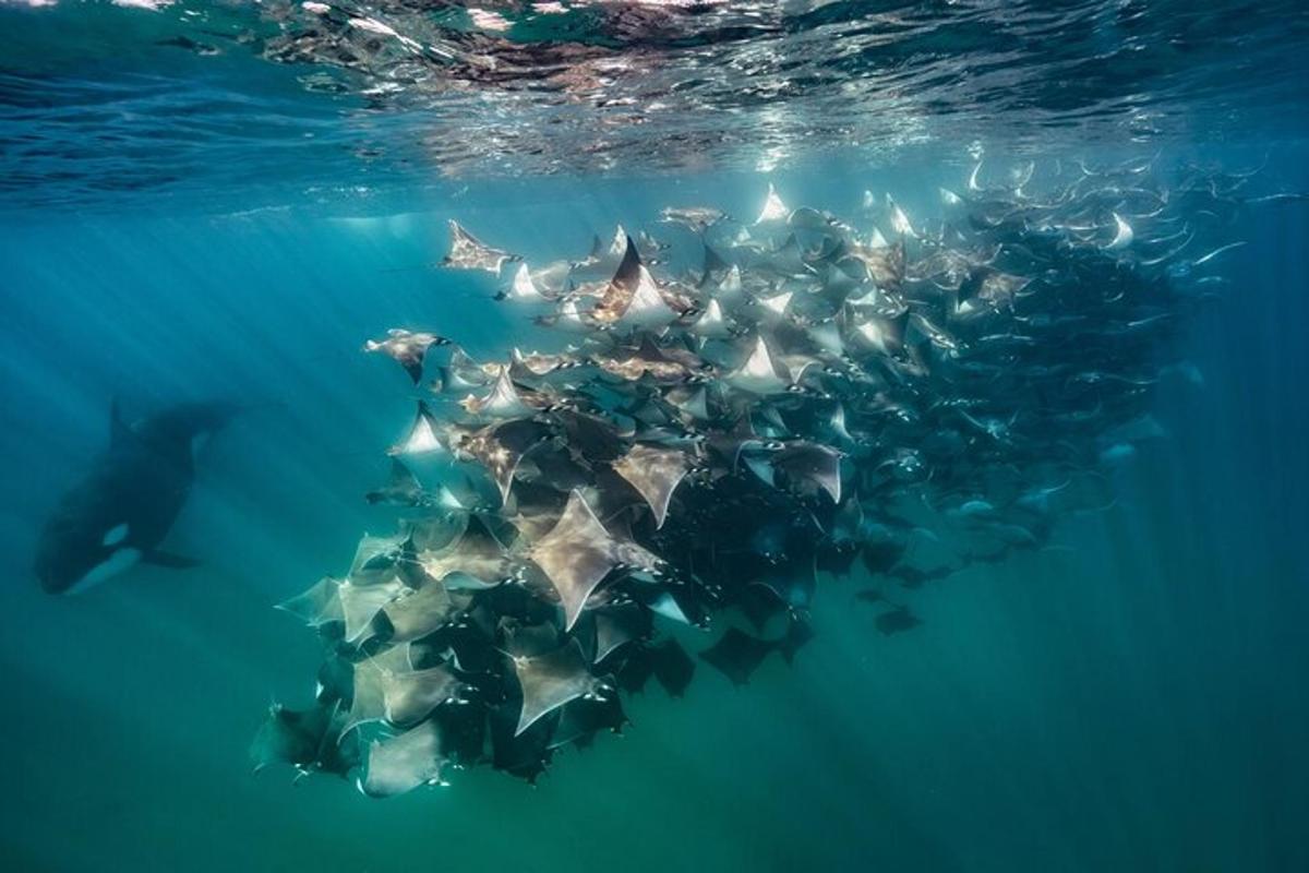 Fotografia da atração 3