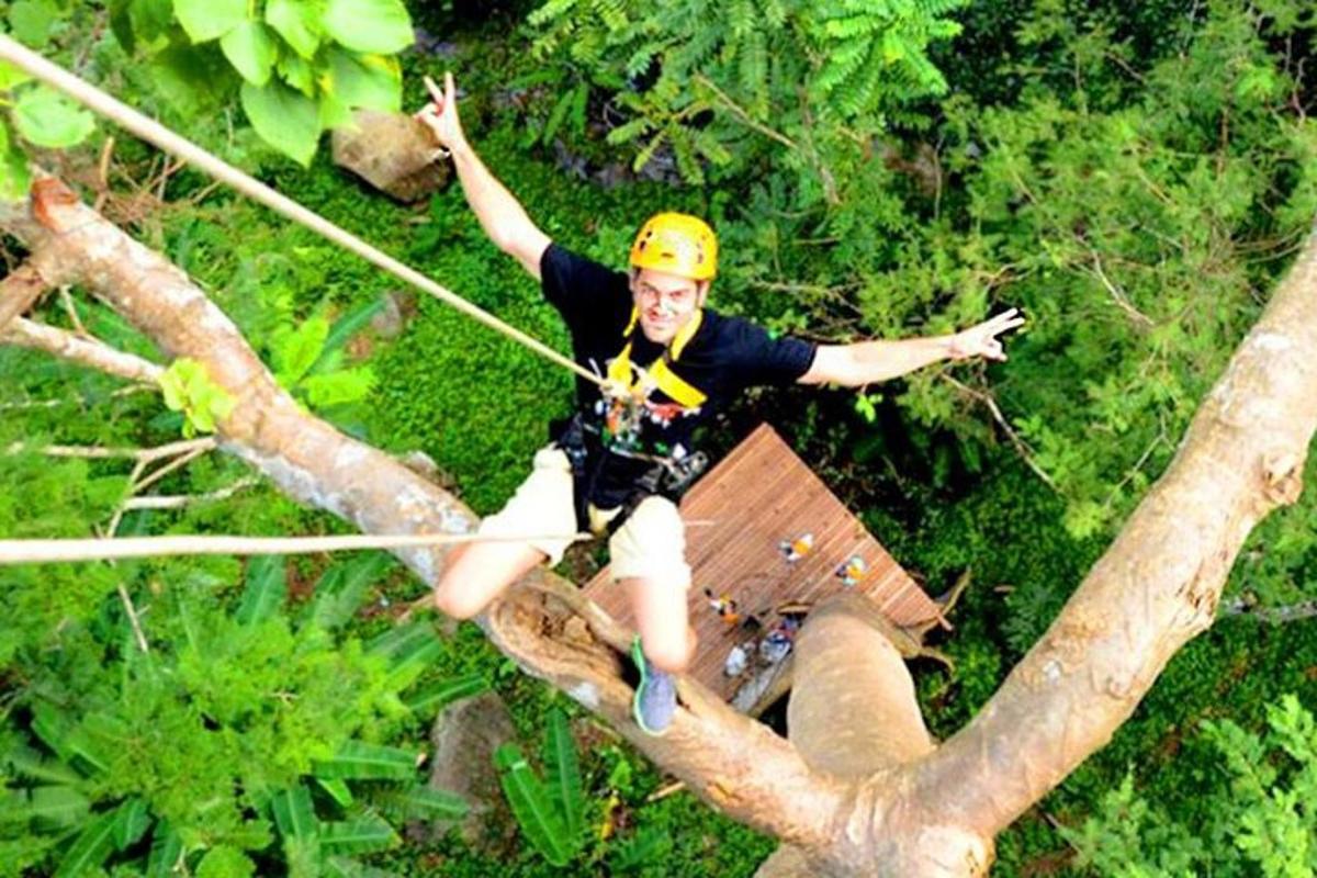 un uomo su una teleferica su un albero