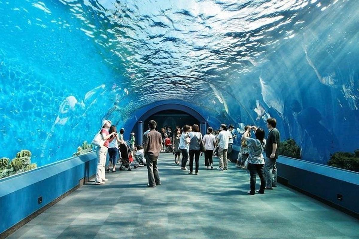 Turistik nokta fotoğrafı 3