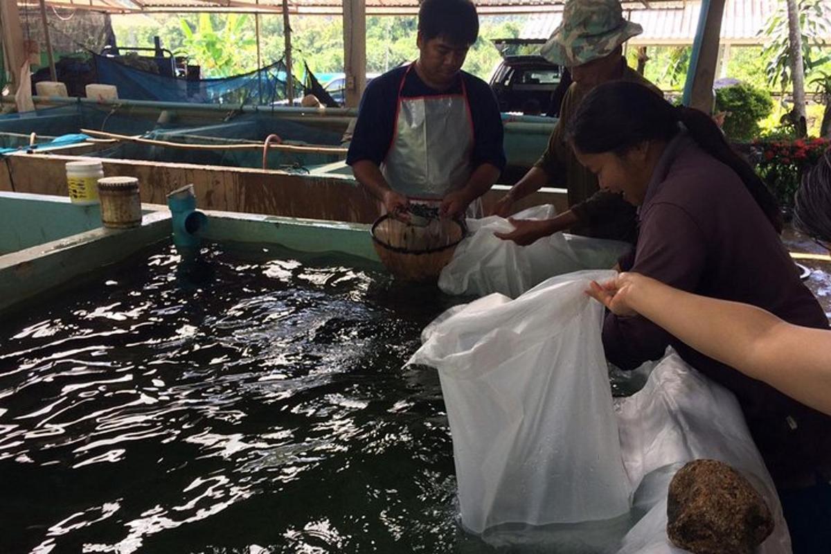 eine Gruppe von Menschen im Wasser mit einem Fisch