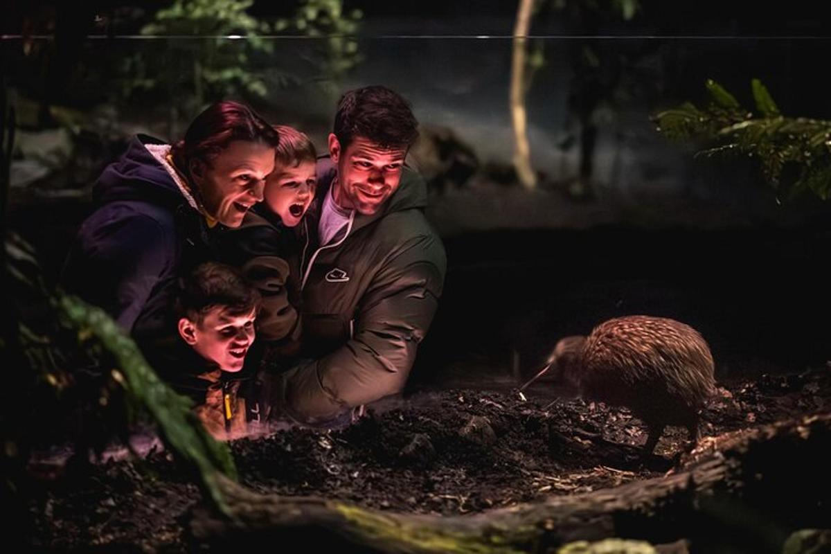 a family looking at a turkey in a field
