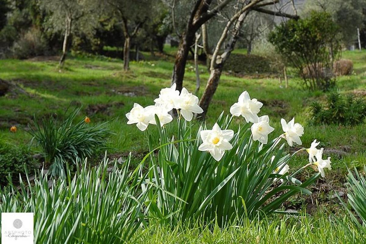 Lankytinos vietos ar pramogos nuotrauka numeris 3