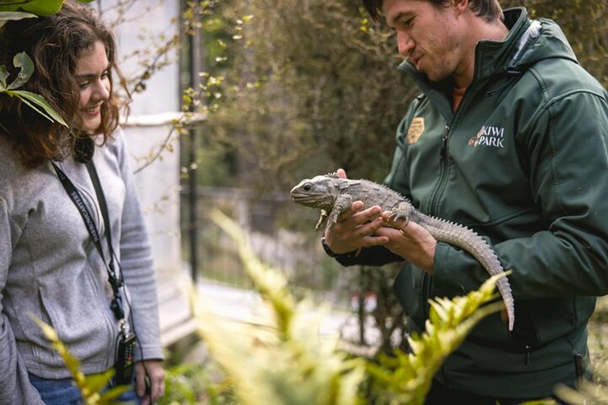 a man and woman holding a lizard in their hands