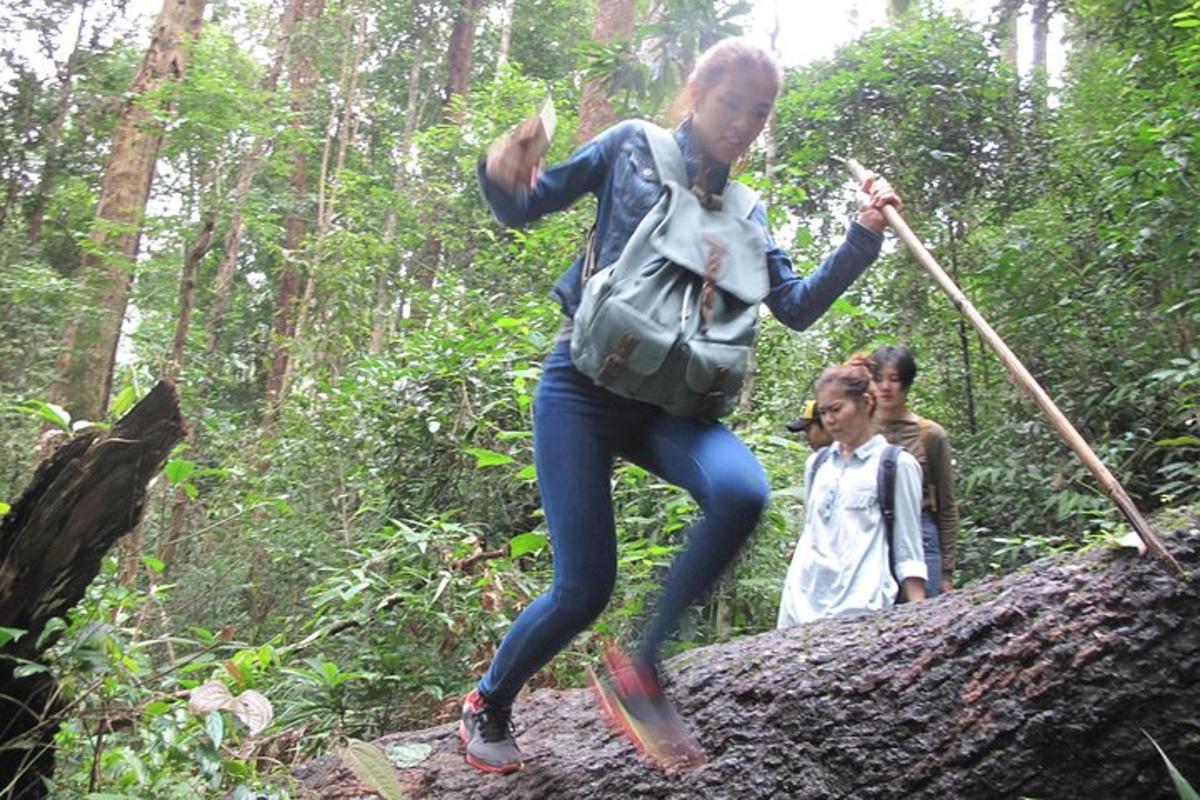 uma mulher em pé em uma árvore na floresta
