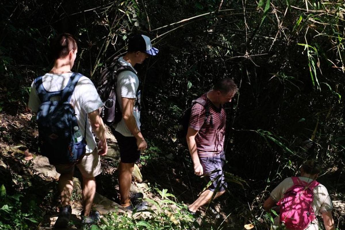 três homens caminhando em uma trilha na floresta
