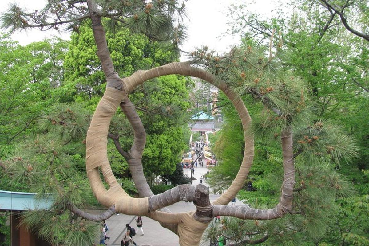 en skulptur av et tre i en park