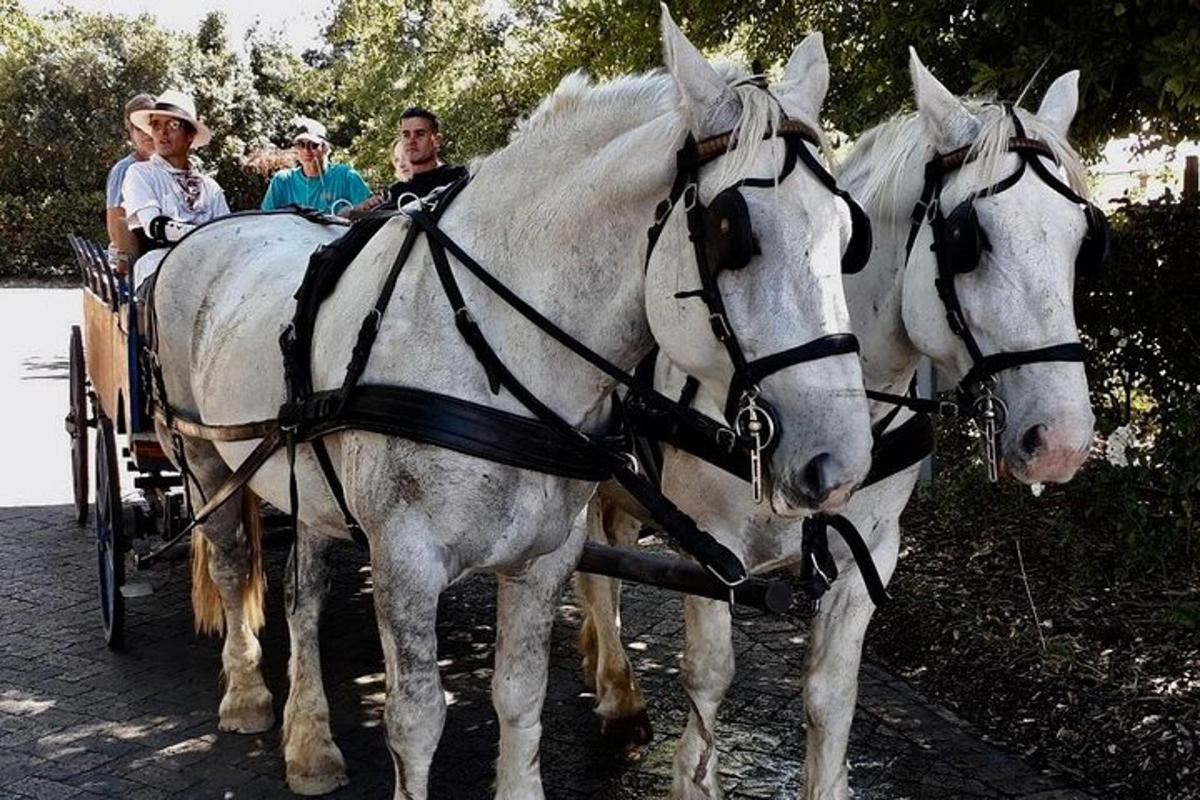 Turistik nokta fotoğrafı 5