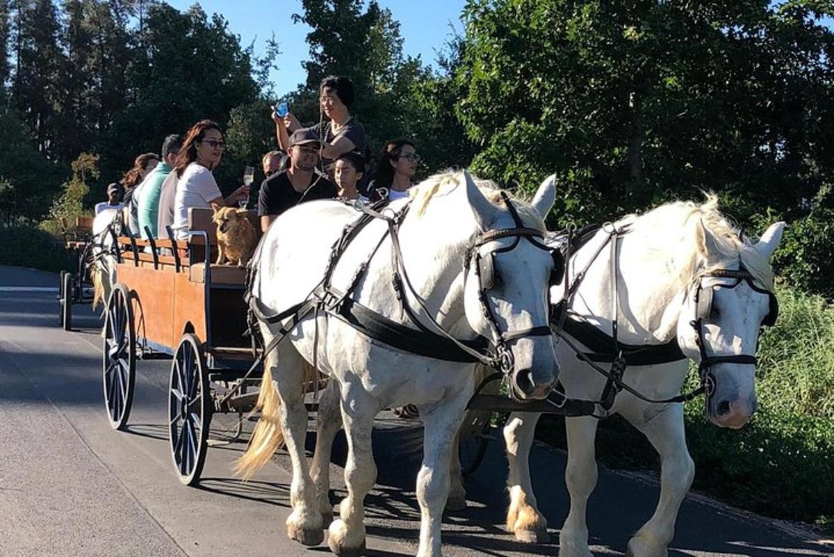 Photo de l’attraction numéro 2.