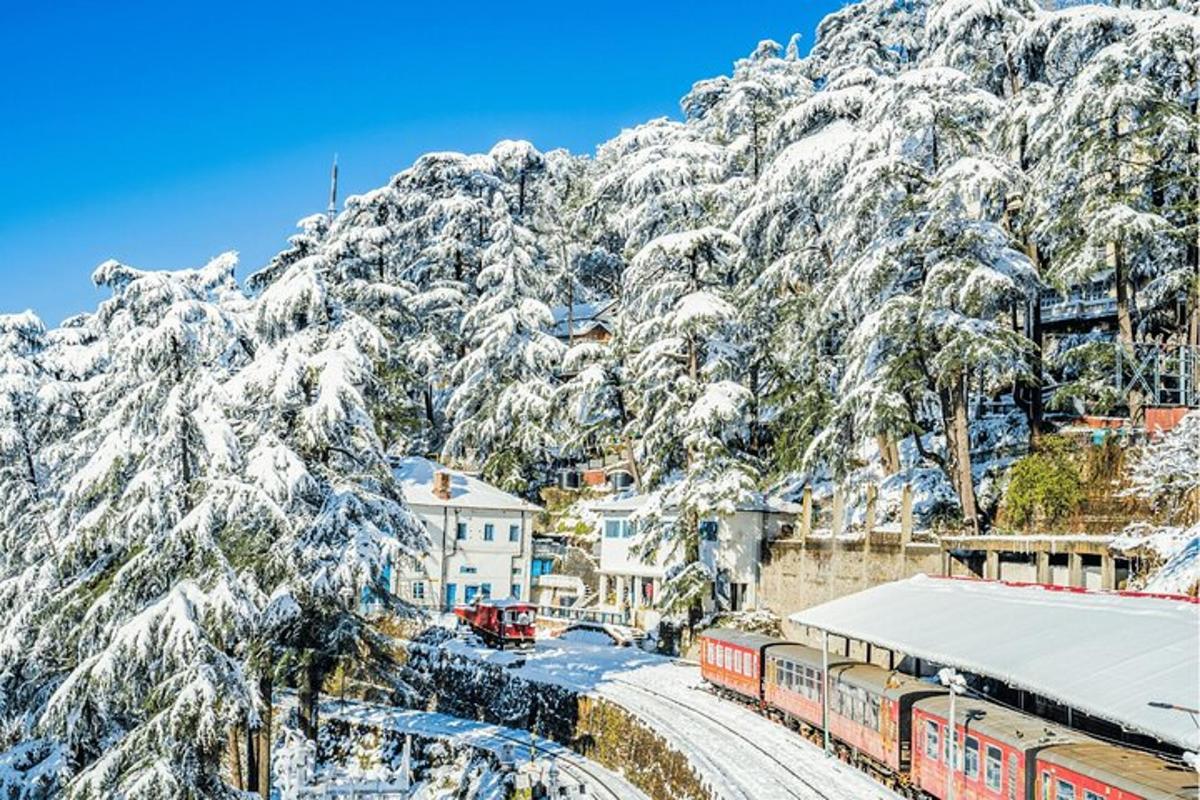 Lankytinos vietos ar pramogos nuotrauka numeris 6