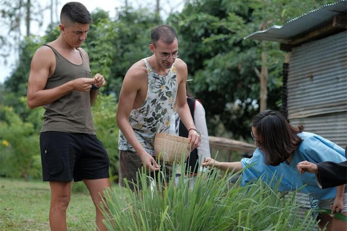 dos homes i una dona mirant una planta