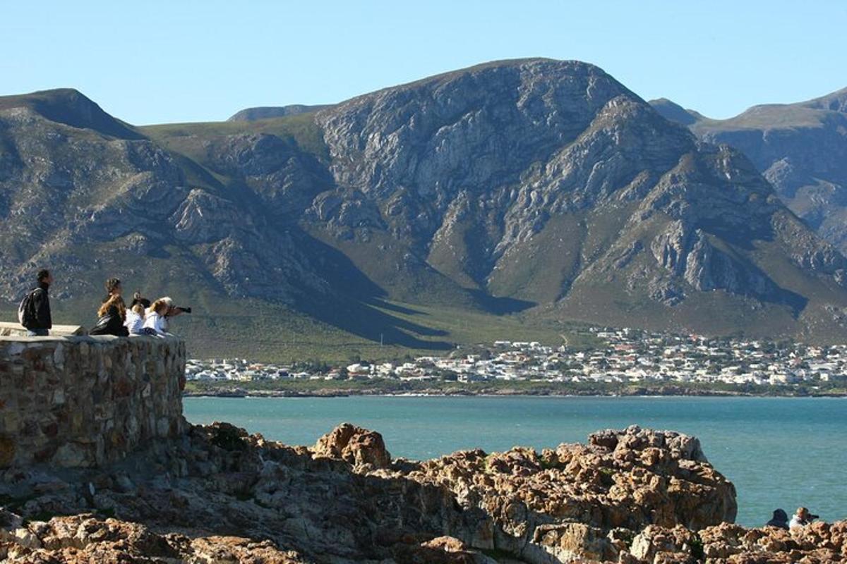 Lankytinos vietos ar pramogos nuotrauka numeris 3