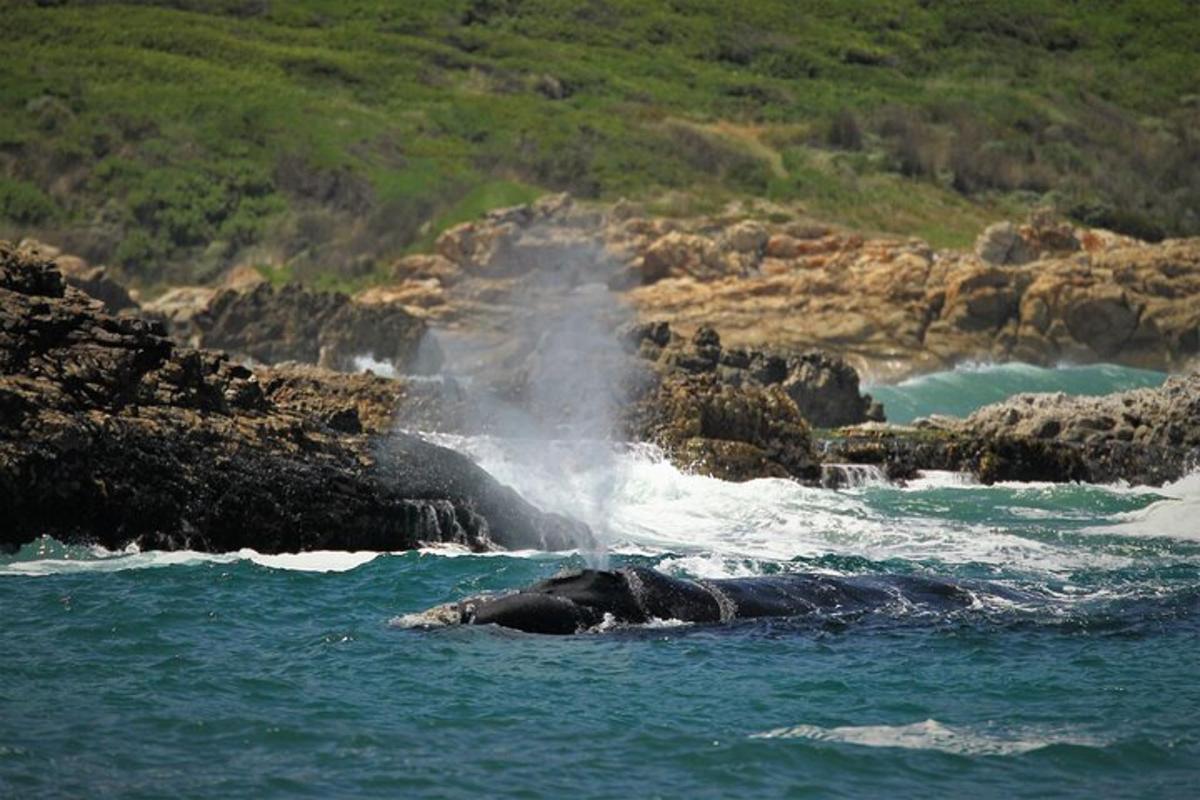 Fotografia da atração 7