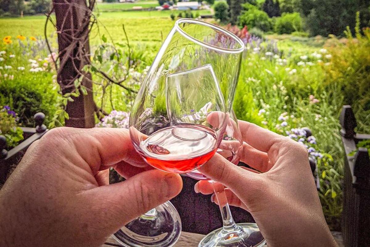 a person is holding a glass of red wine