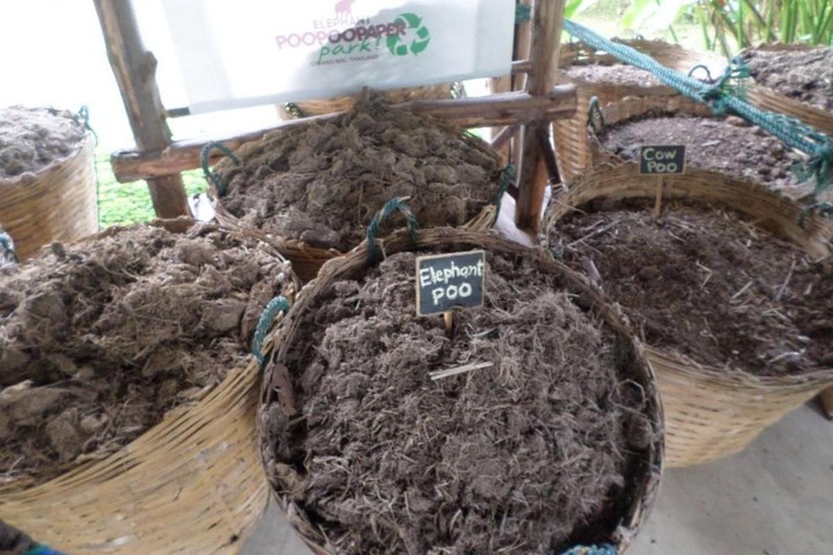 a group of baskets filled with dirt and mulch