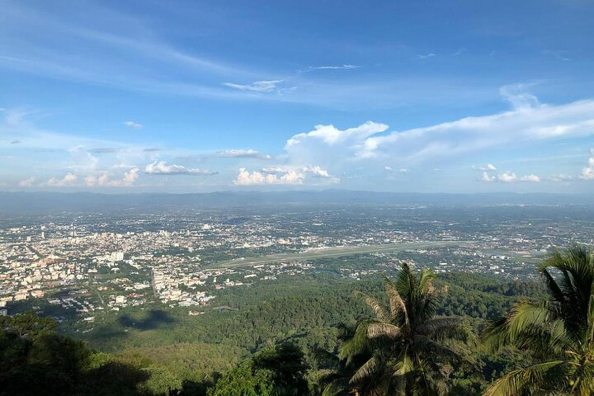 pemandangan bandar dari bukit dengan pokok palma