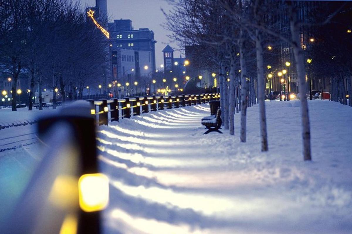 a park covered in snow at night with lights