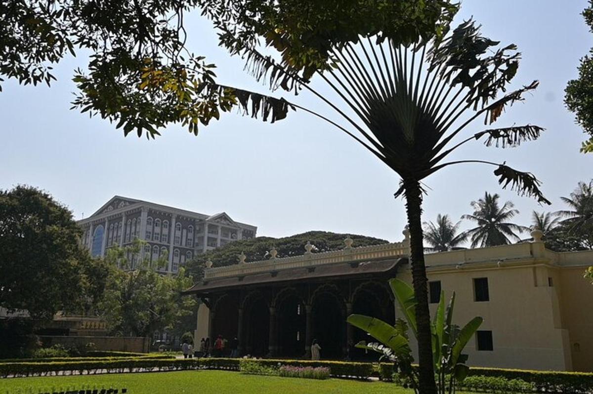 a palm tree in front of a building