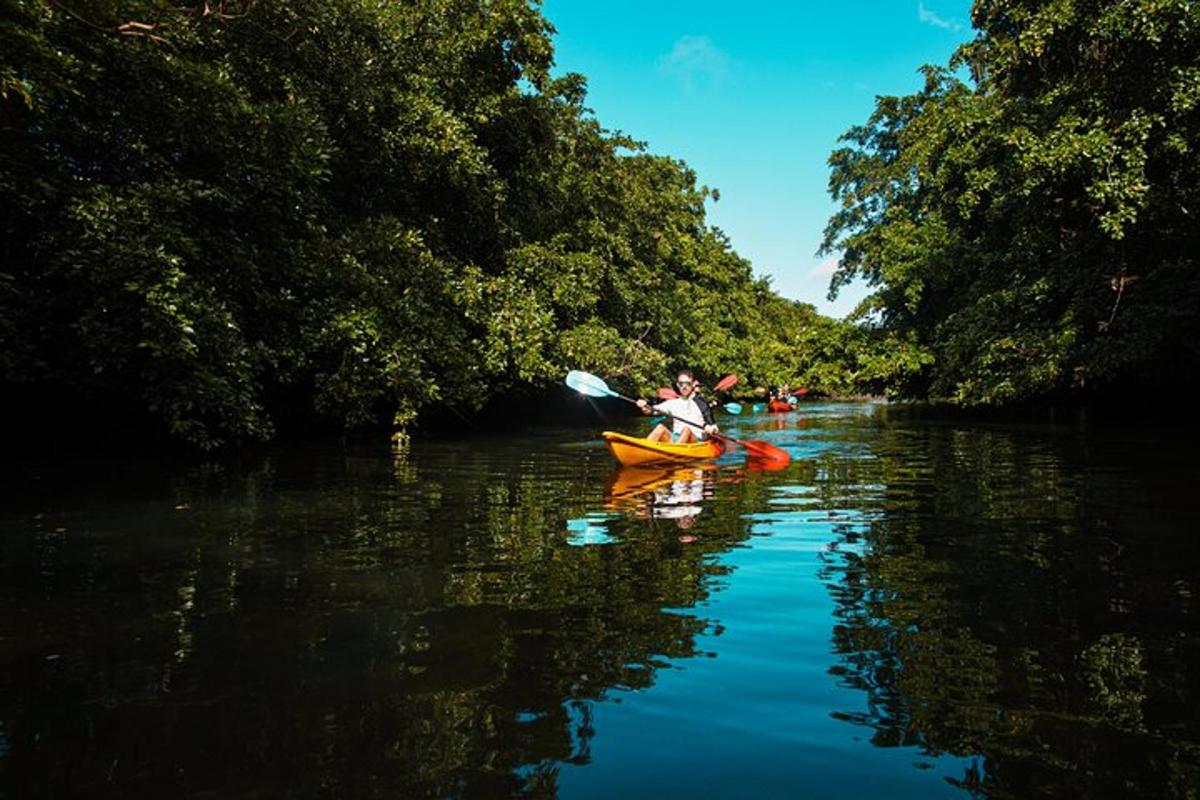 una persona in kayak su un fiume