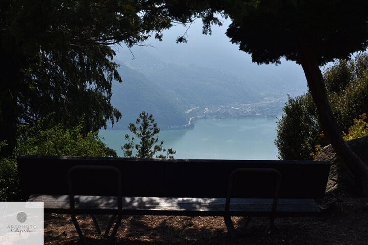 a bench sitting on a hill overlooking a lake