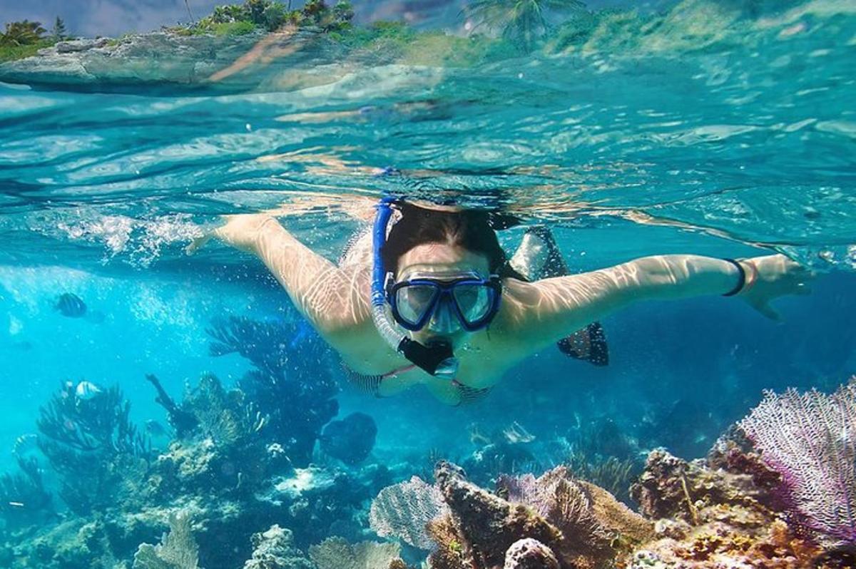 a person swimming in the water near a reef