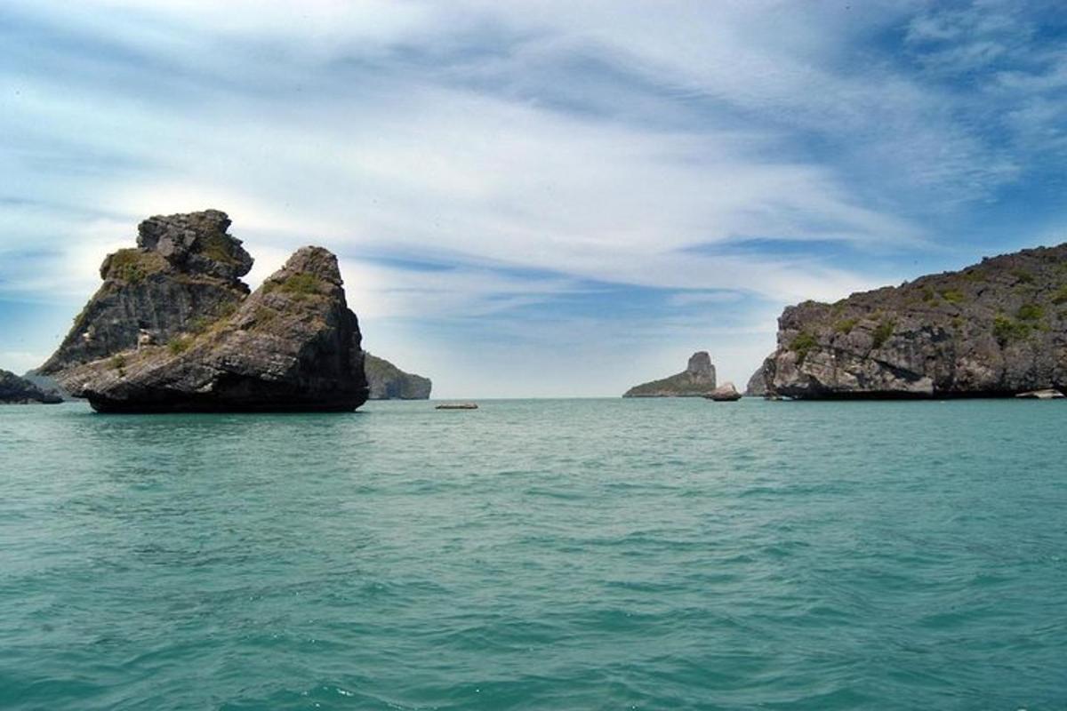 skupina skal ve vodě poblíž oceánu