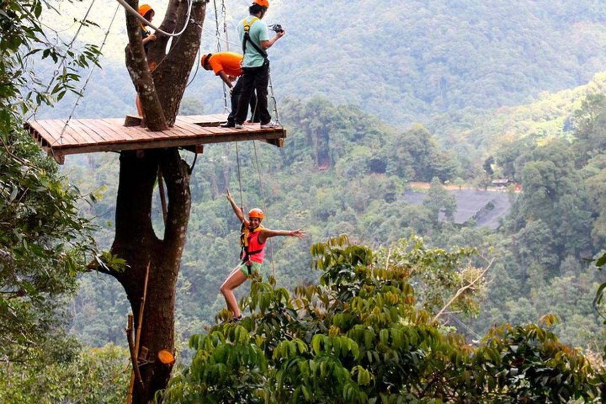 dues persones en una tirolina en un arbre