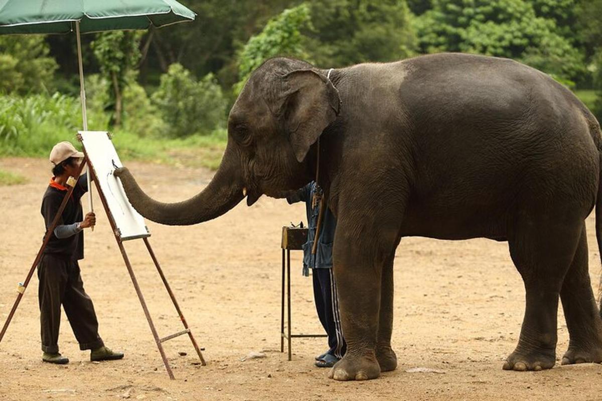 seekor gajah melukis gambar dengan belalainya di atas kuda-kuda