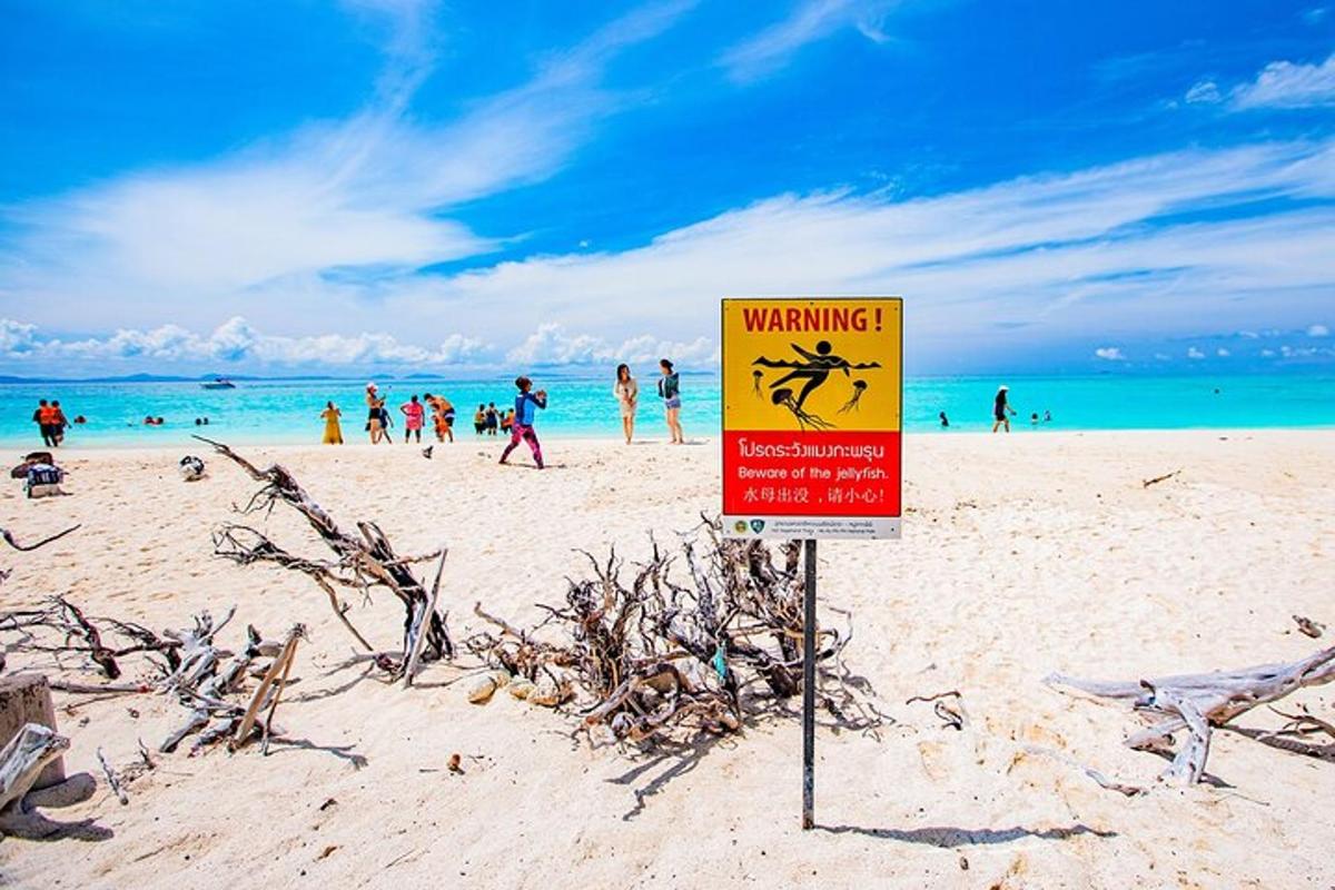 Una señal de advertencia en una playa con gente en el agua.