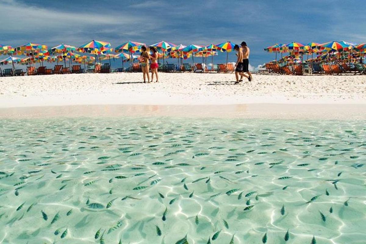 a group of people walking on a beach with umbrellas