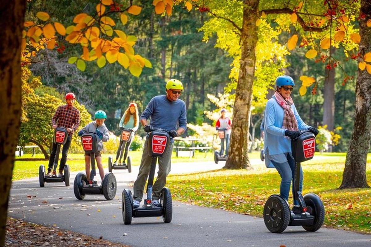 sekumpulan orang menaiki segway di sebuah taman