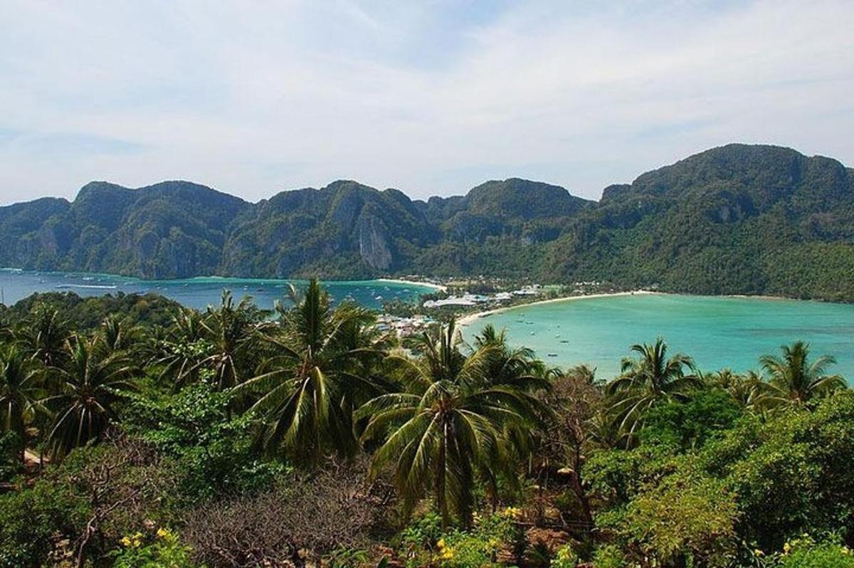 une vue sur une plage avec des palmiers et des montagnes