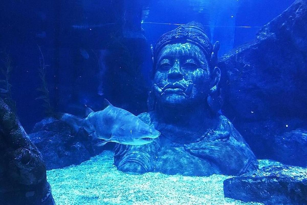 Attraction picture 2
