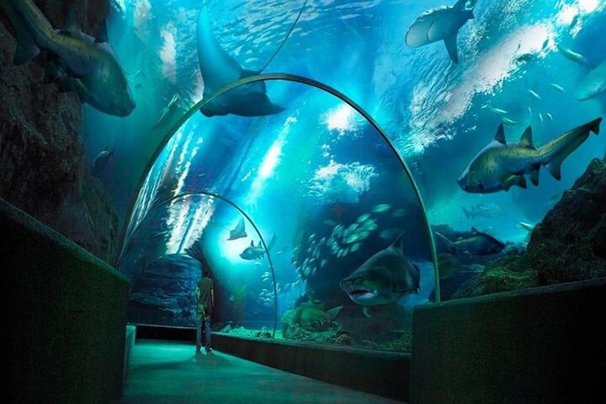 Attraction picture 3