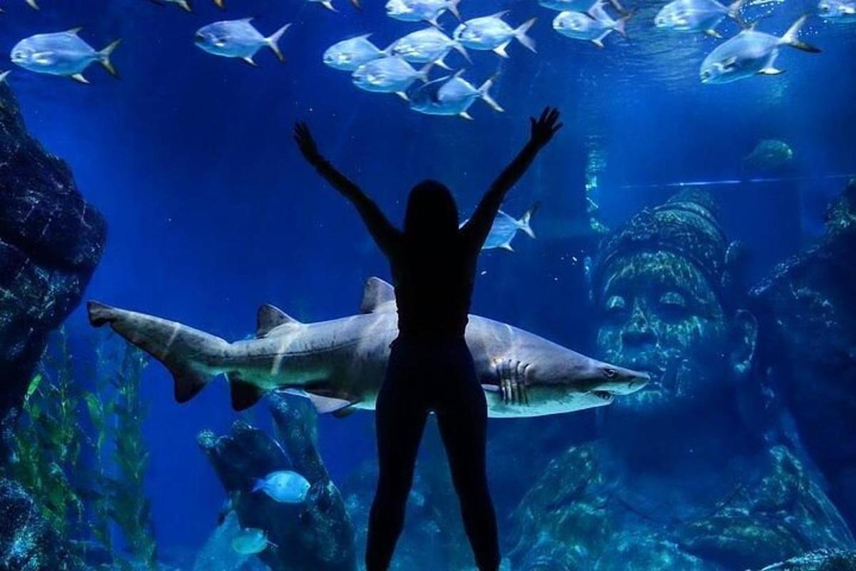 Attraction picture 5