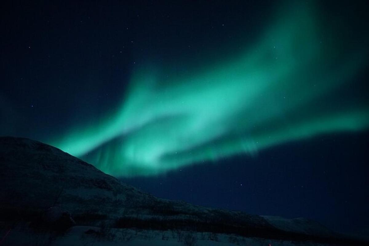 Ljósmynd af afþreyingu 1