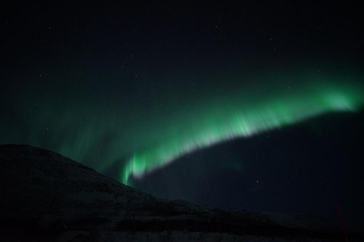 Ljósmynd af afþreyingu 2