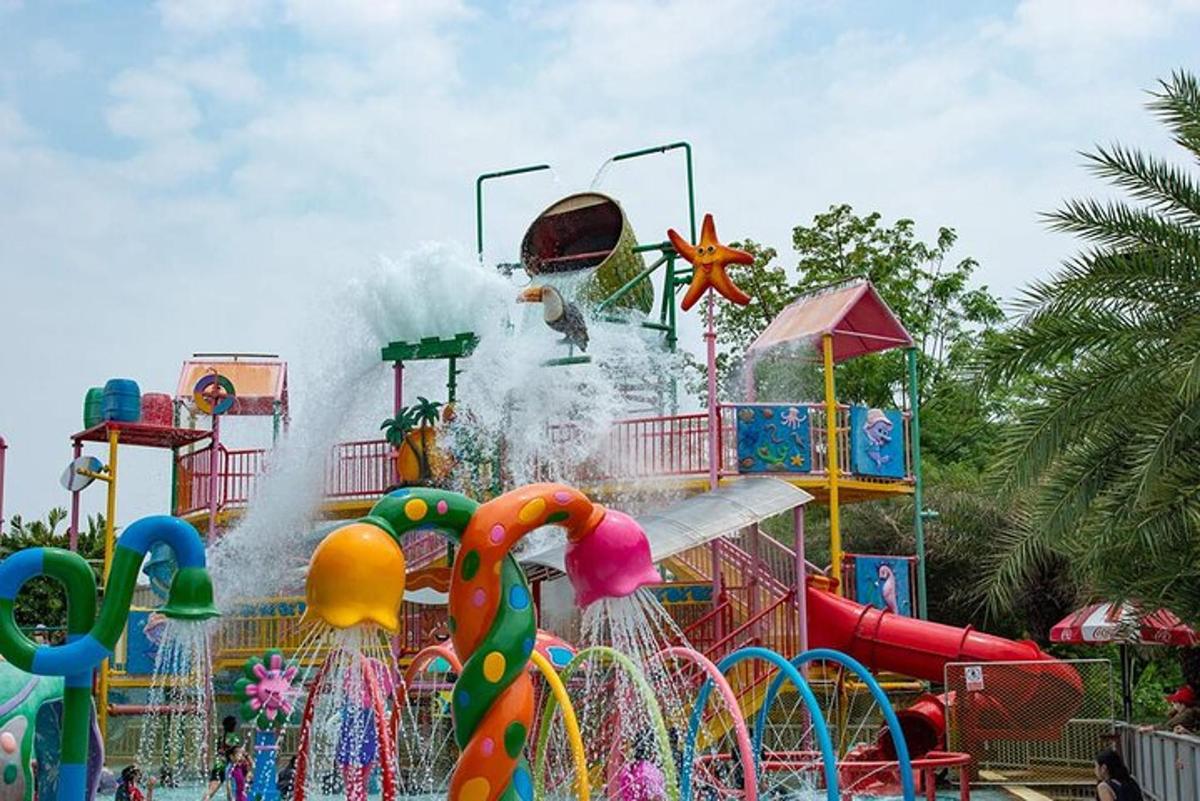 a water park with a water play structure