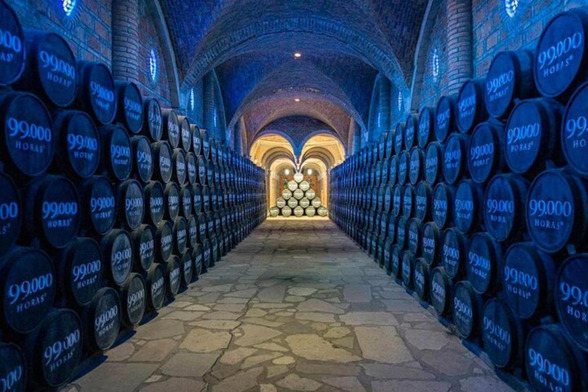 a row of wine bottles in a wine cellar